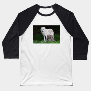 Remus and Romulus - Arctic Wolf Baseball T-Shirt